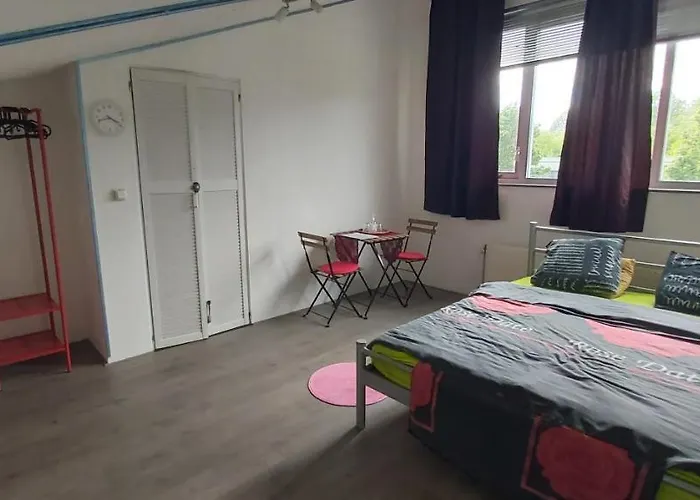 Spacious Room With Free Parking